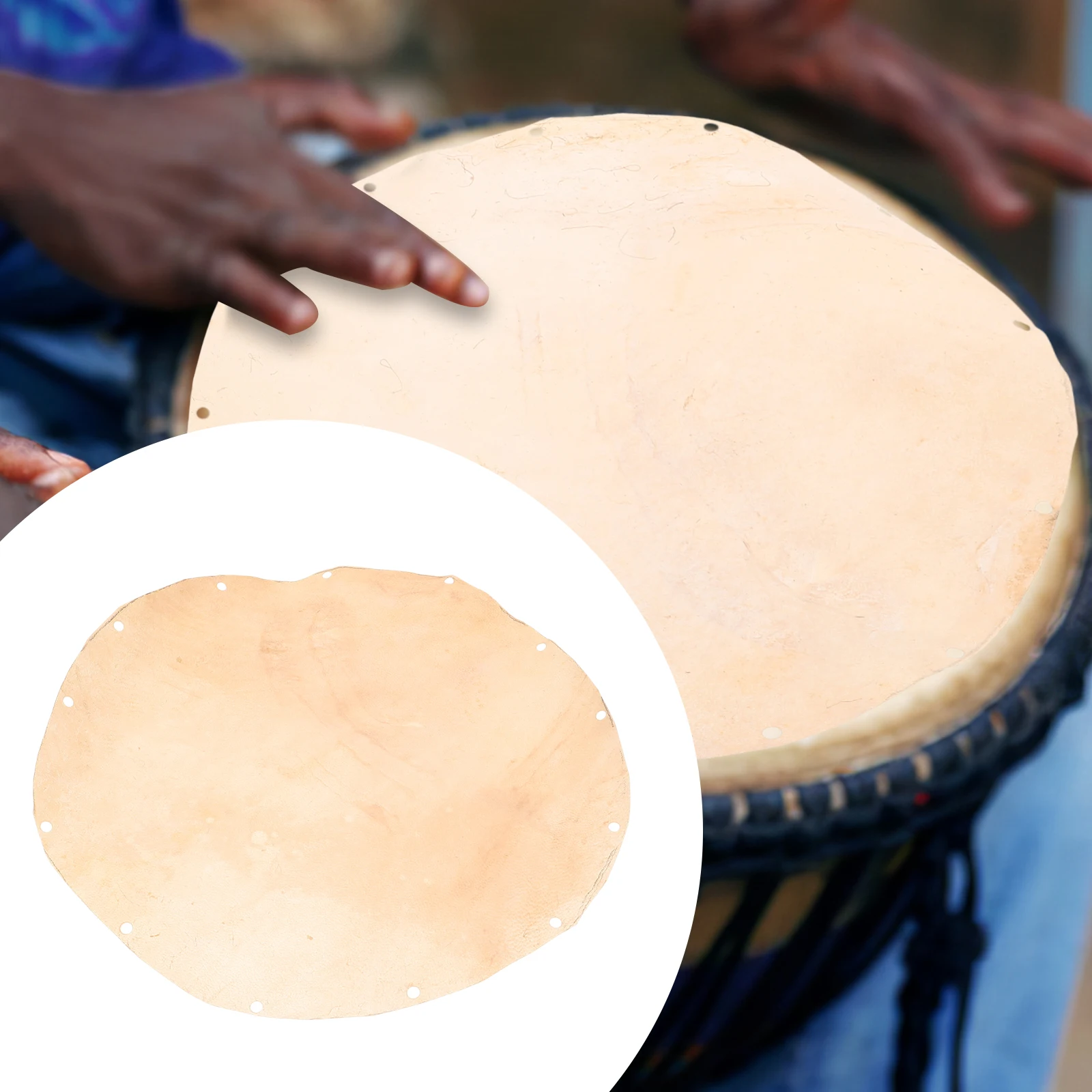 Hand Drum Skin African Musical Instrument Goat Heads Case Djembe Replacement Drumheads Small Sheepskin
Hand Drum Skin African Musical Instrument Goat Heads Case Djembe Replacement Drumheads Small Sheepskin