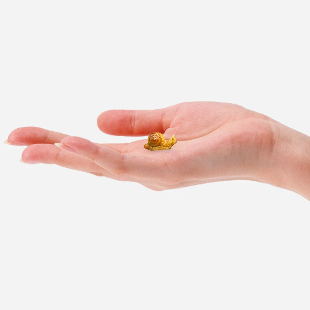 5 Pcs Tiny Snail Figurines Resin Statue Miniature Micro Landscape Decor Small Garden Yard Balcony Long Term Use
5 Pcs Tiny Snail Figurines Resin Statue Miniature Micro Landscape Decor Small Garden Yard Balcony Long Term Use