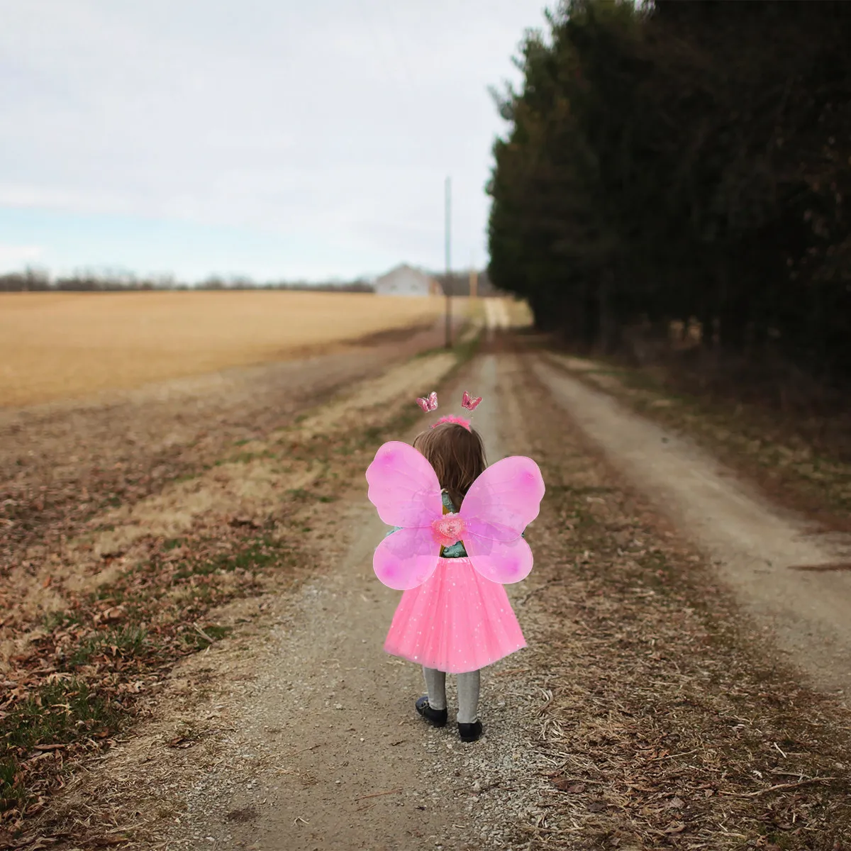 1Set Butterfly Wings Set Fairy Gauze Skirt Performance Dress for Girls Cosplay Costume Festival Party Birthday Stage Show
1Set Butterfly Wings Set Fairy Gauze Skirt Performance Dress for Girls Cosplay Costume Festival Party Birthday Stage Show