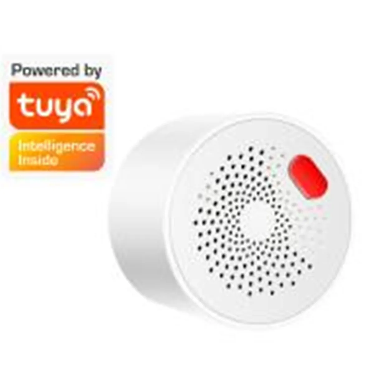 Смарт-детектор горючих газов Tuya Для домашняя система охранной сигнализации P2P датчик утечки газа
Смарт-детектор горючих газов Tuya Для домашняя система охранной сигнализации P2P датчик утечки газа