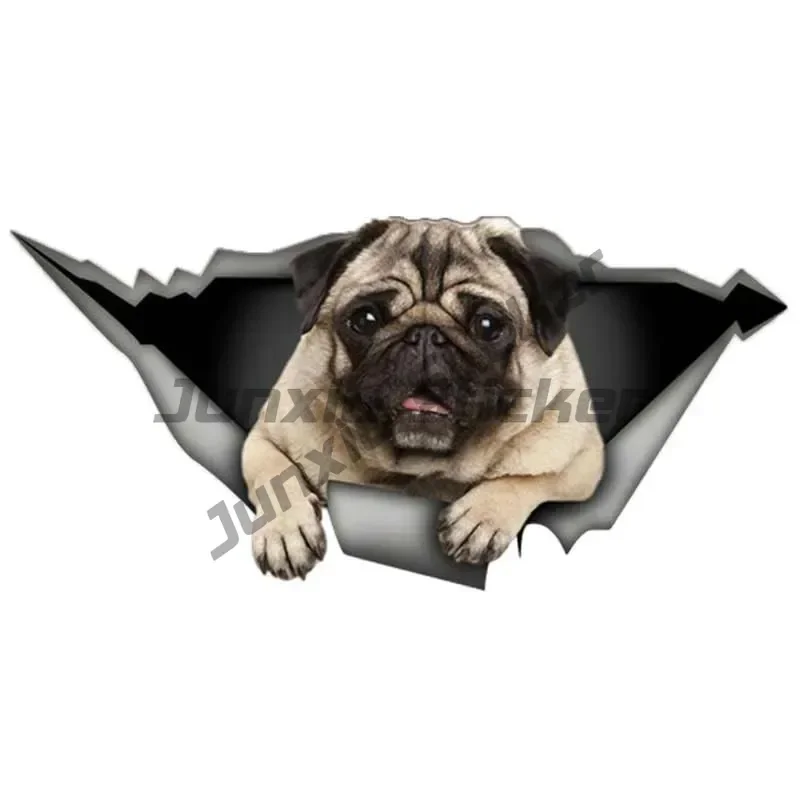Pug Dog Custom Stickers on Motorcycle Exterior Parts Sticker for Car Products PVC Stylish, Sunscreen and Waterproof Cute
Pug Dog Custom Stickers on Motorcycle Exterior Parts Sticker for Car Products PVC Stylish, Sunscreen and Waterproof Cute