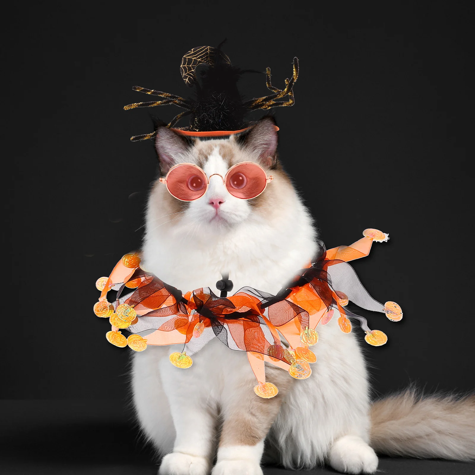 1 set Pet Collar Curly Decorative Cat Collar Hair Hat Costume Decorative Halloween Cat Dog Eyeglass Outfit
1 set Pet Collar Curly Decorative Cat Collar Hair Hat Costume Decorative Halloween Cat Dog Eyeglass Outfit