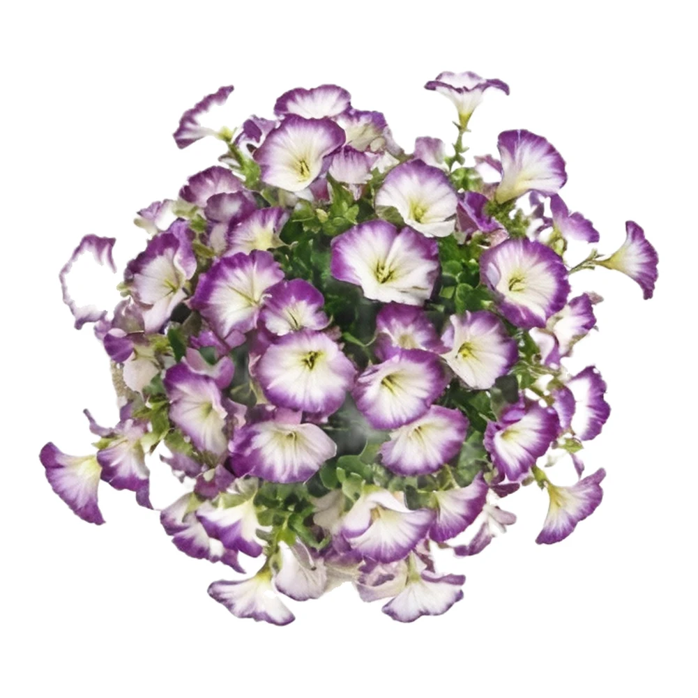 Реалистичная подвесная корзина с искусственными цветами «Ранняя слава» для декора внутри и снаружи помещений, устойчивая к погодным условиям и УФ-излучению
Реалистичная подвесная корзина с искусственными цветами «Ранняя слава» для декора внутри и снаружи помещений, устойчивая к погодным условиям и УФ-излучению