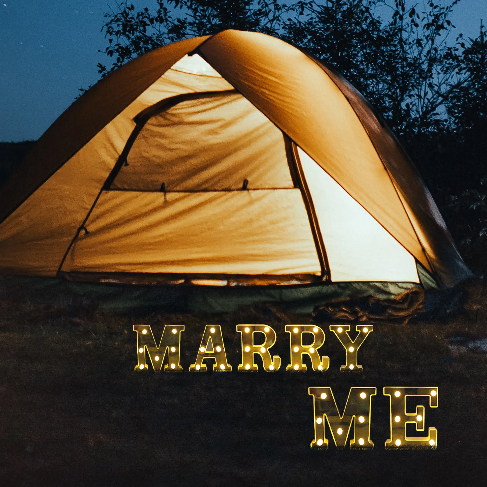 1Set Marry Me Letter LED Lamp Romantic Proposal Light Wedding Decoration Lamp Desktop Decor Party Night Light Scene Layout Prop
1Set Marry Me Letter LED Lamp Romantic Proposal Light Wedding Decoration Lamp Desktop Decor Party Night Light Scene Layout Prop