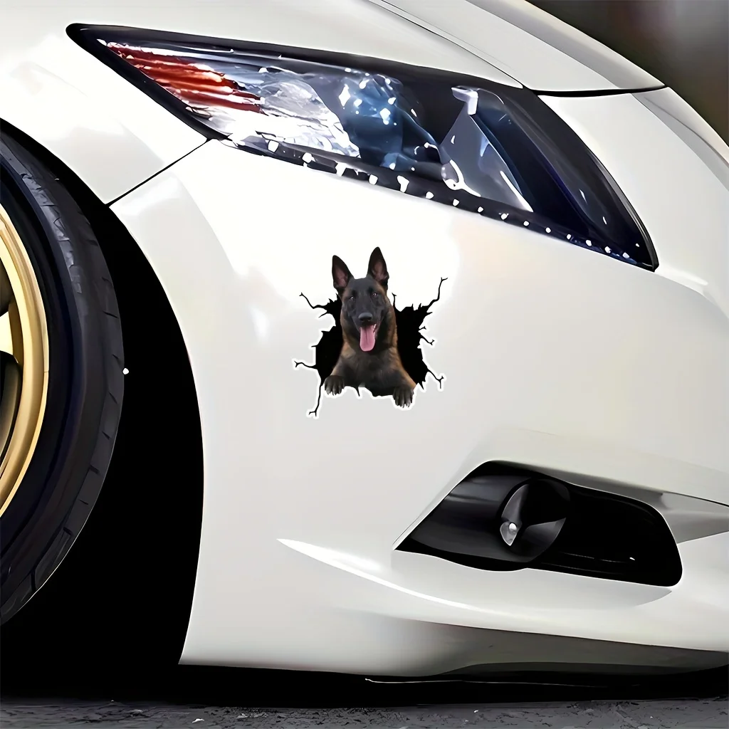 1pcBelgian Malinois Vinyl Decal, Durable Longlasting Sticker for Car, Truck, Window, Bumper & Refrigerator, Indoor & Outdoor Use
1pcBelgian Malinois Vinyl Decal, Durable Longlasting Sticker for Car, Truck, Window, Bumper & Refrigerator, Indoor & Outdoor Use