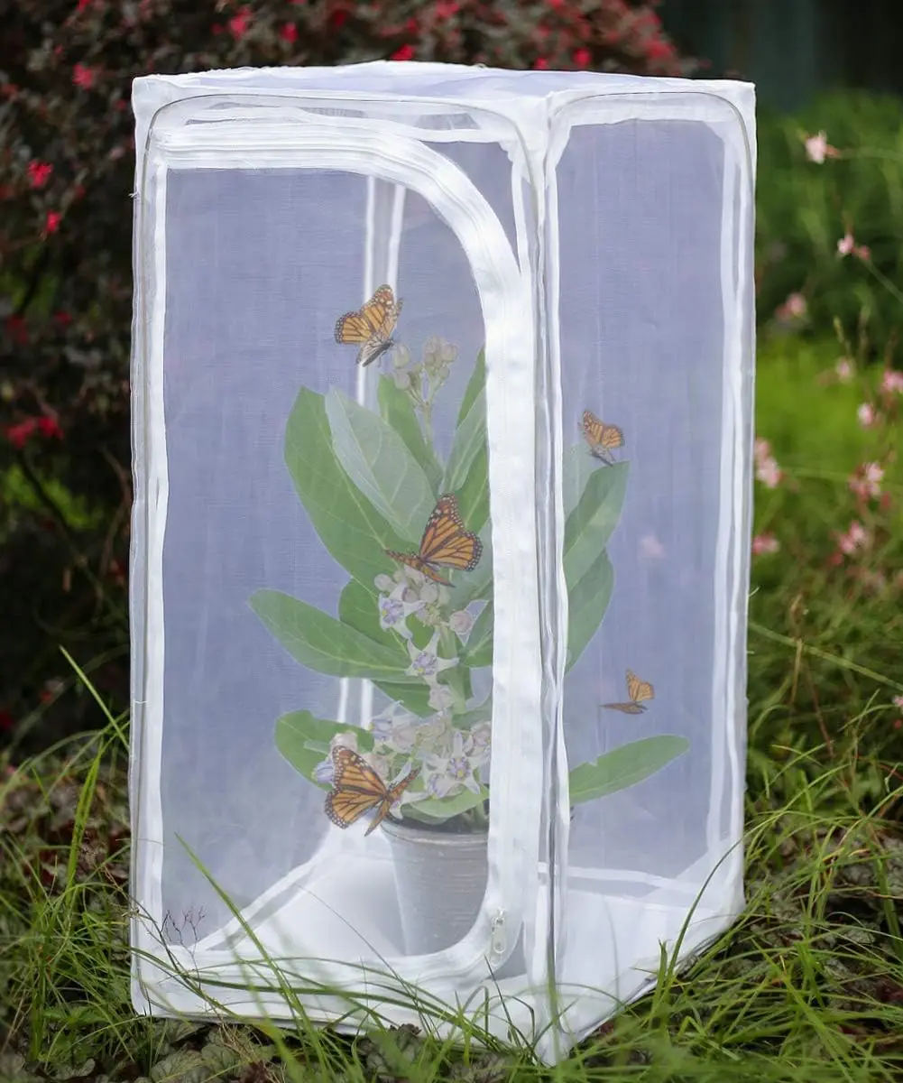 30" Heavy Duty Monarch Butterfly Habitat, Outdoor Collapsible Insect Mesh Cage with Zipper Protection
30" Heavy Duty Monarch Butterfly Habitat, Outdoor Collapsible Insect Mesh Cage with Zipper Protection