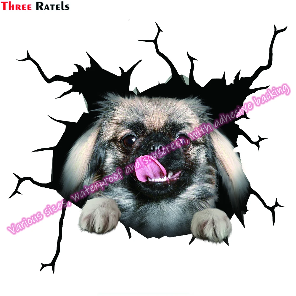 Three Ratels DA Cute Pet Dog Stickers for Car Body Cover Decoration Vinyl Auto Decals
Three Ratels DA Cute Pet Dog Stickers for Car Body Cover Decoration Vinyl Auto Decals