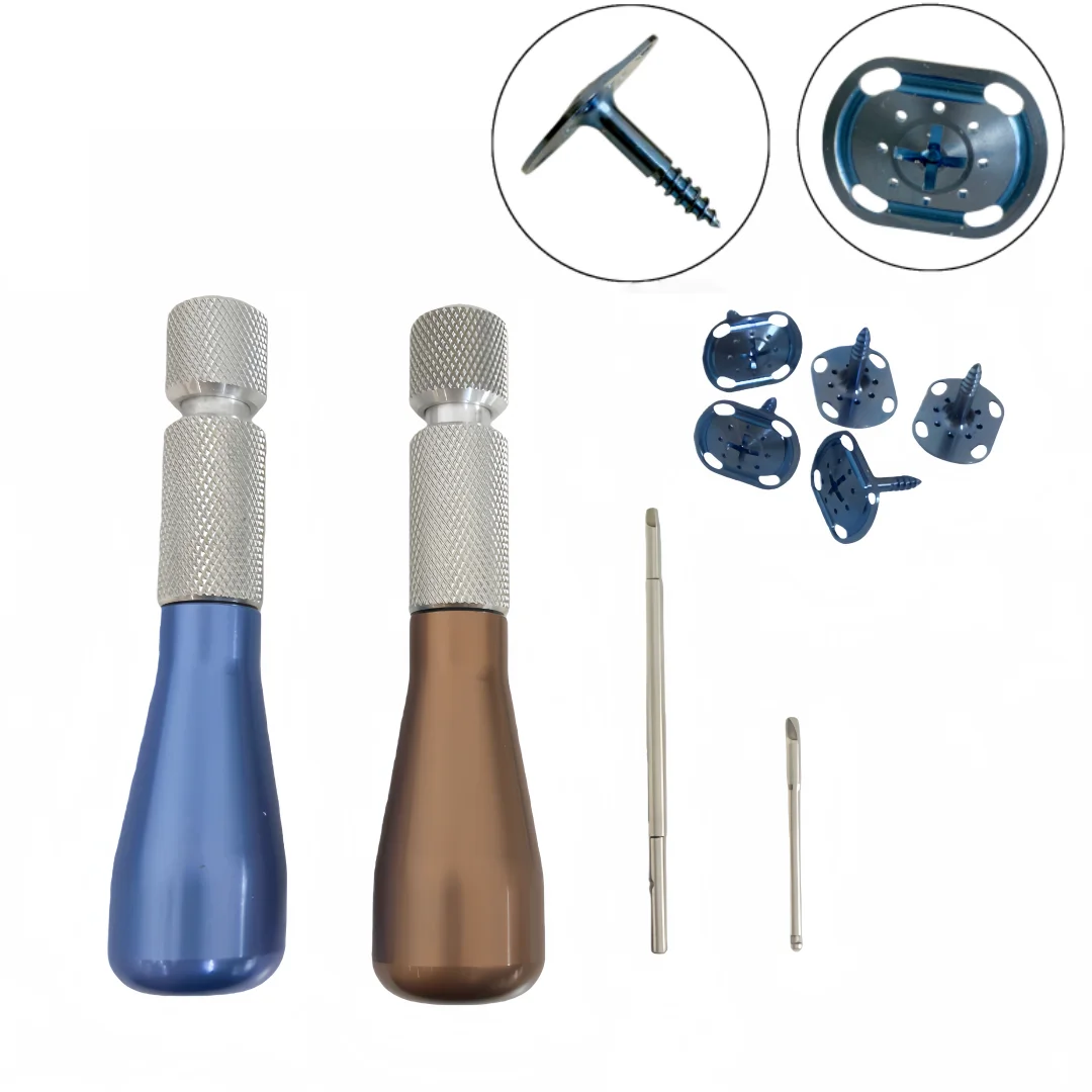 Dental GBR Tent Screws Wide Head Support Space Big Tenting Screw Guide Regeneration Membrane Blue/Brown Driver 8×10mm
Dental GBR Tent Screws Wide Head Support Space Big Tenting Screw Guide Regeneration Membrane Blue/Brown Driver 8×10mm