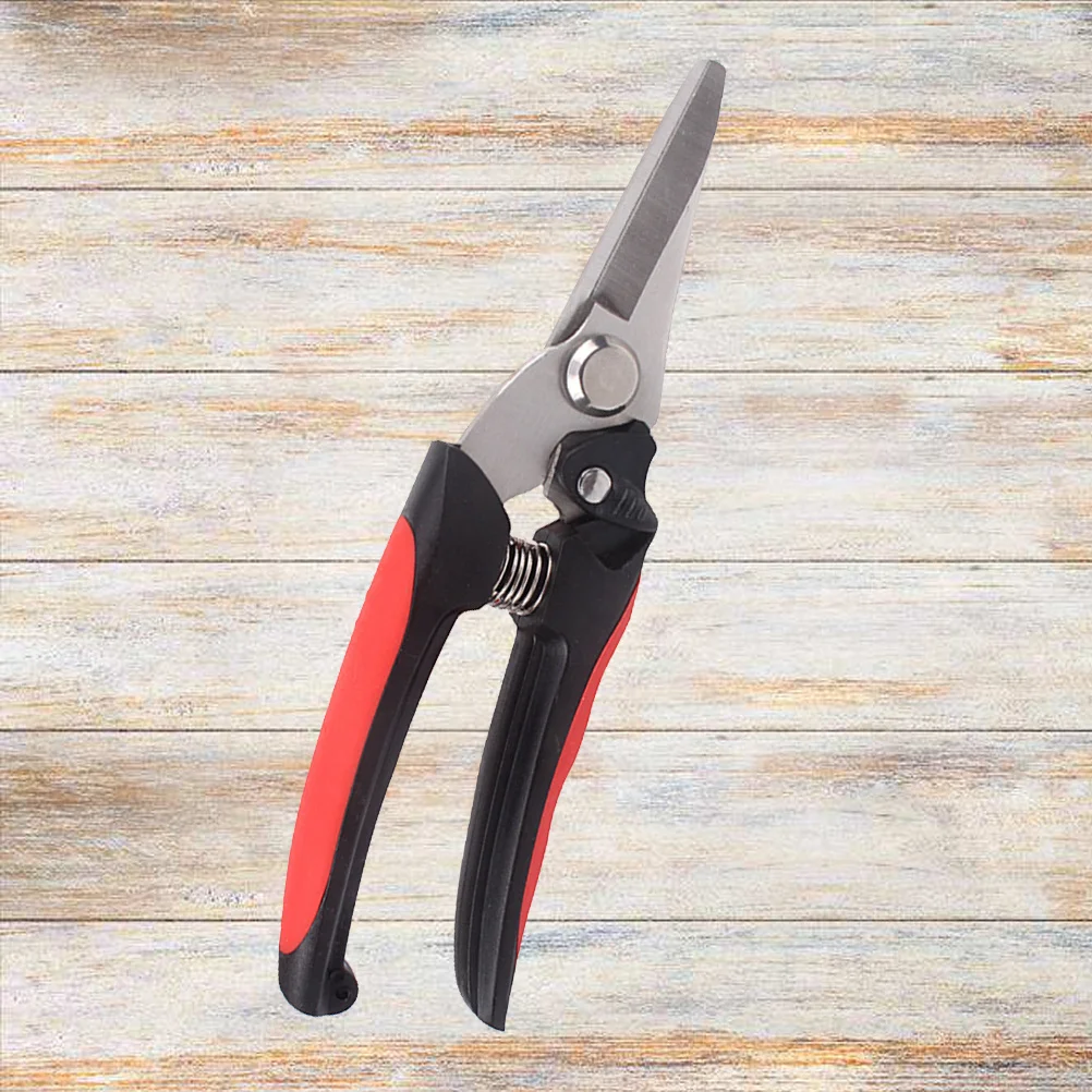 Garden Pruning Shears Stainless Steel Sharp Cutting Tool For Branches Hedges Trees Bushes Trimming Gardening
Garden Pruning Shears Stainless Steel Sharp Cutting Tool For Branches Hedges Trees Bushes Trimming Gardening