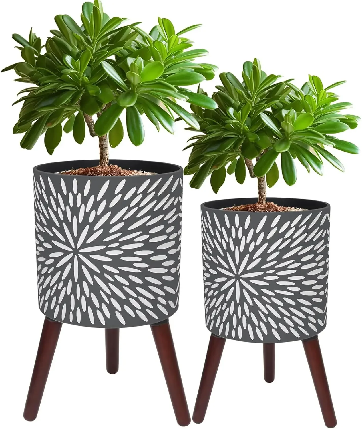 10 & 12 Inches Plant Pot with Stand Set of 2, Large Matte Gray Modern Planters for Indoor Outdoor Plants with Drainage
10 & 12 Inches Plant Pot with Stand Set of 2, Large Matte Gray Modern Planters for Indoor Outdoor Plants with Drainage