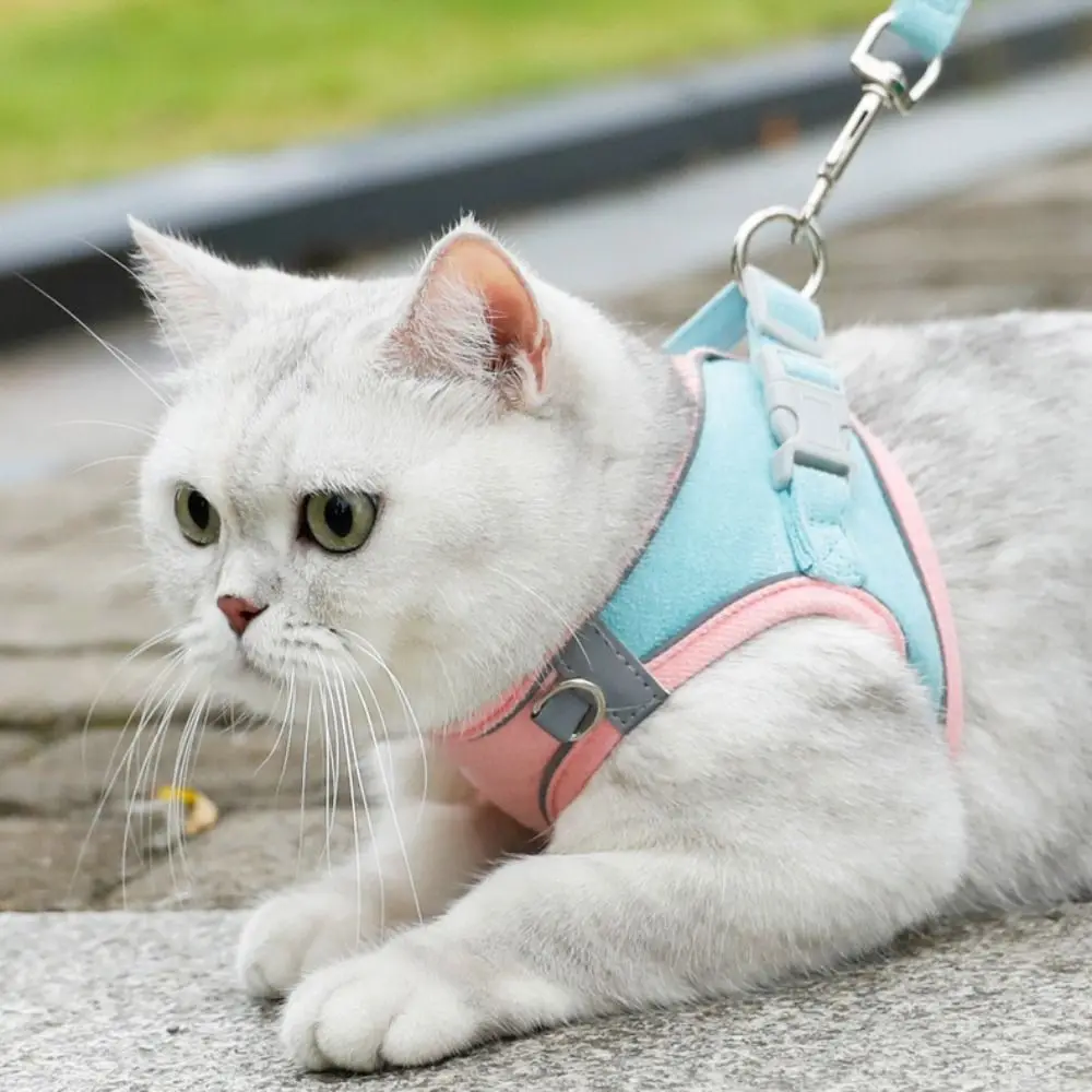 Cat Supplies Reflective Pet Chest Strap Breathable No Pull Dog Leash Set Adjustable Anti Escape Cat Harness Vest Outdoor
Cat Supplies Reflective Pet Chest Strap Breathable No Pull Dog Leash Set Adjustable Anti Escape Cat Harness Vest Outdoor