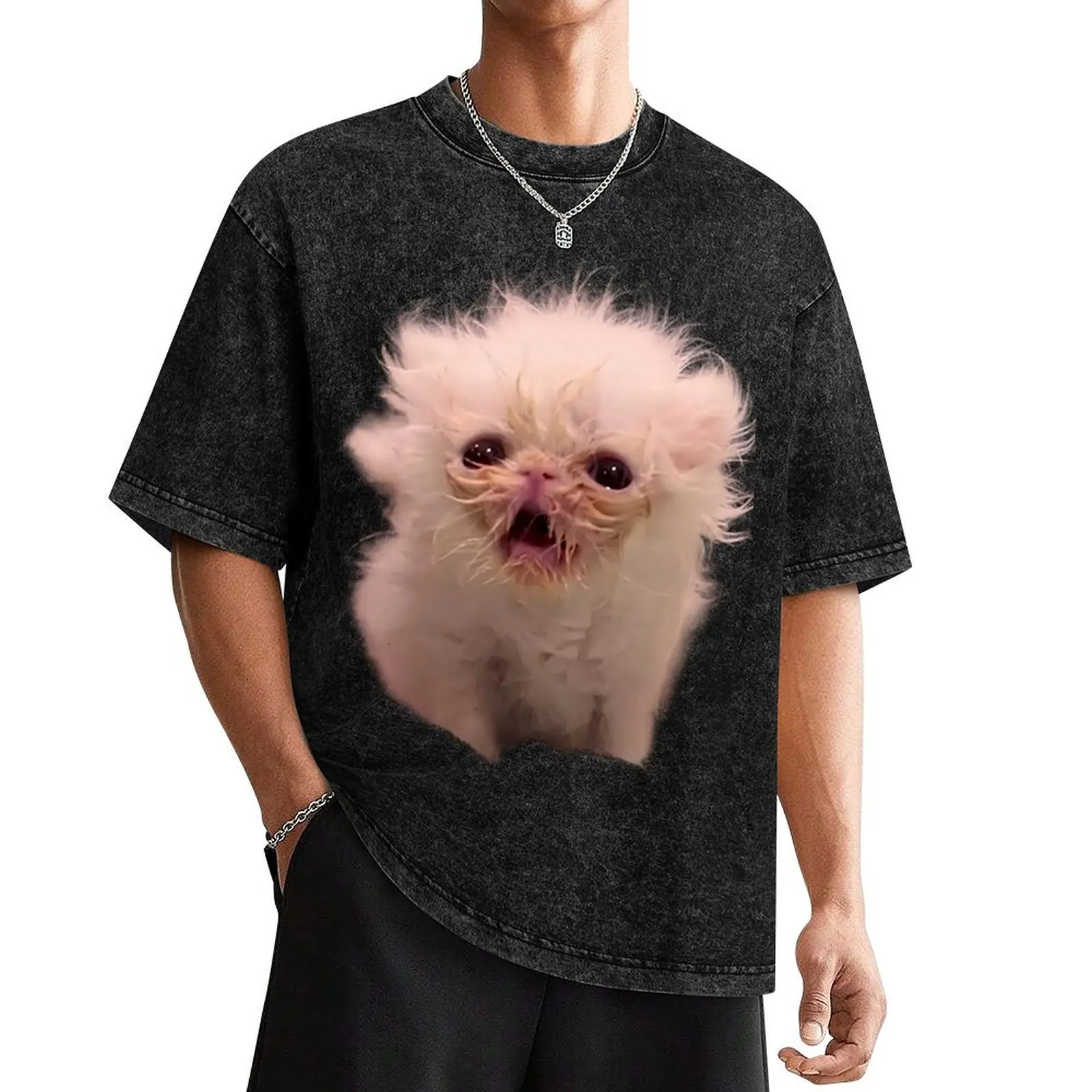 Wisp Cat Meme T-Shirt rapper graphic tees aesthetic clothes graphic shirts street wear mens champion t shirts
Wisp Cat Meme T-Shirt rapper graphic tees aesthetic clothes graphic shirts street wear mens champion t shirts