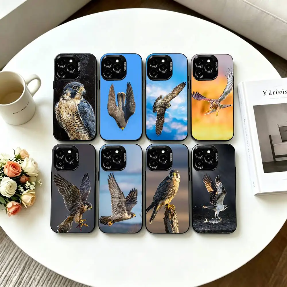 Animal Peregrine Falcon Phone Case For iPhone 17,16,15,14,13,12,11 Plus,Pro Max,XS,Colorful Silver Phone case Funda Cover
Animal Peregrine Falcon Phone Case For iPhone 17,16,15,14,13,12,11 Plus,Pro Max,XS,Colorful Silver Phone case Funda Cover