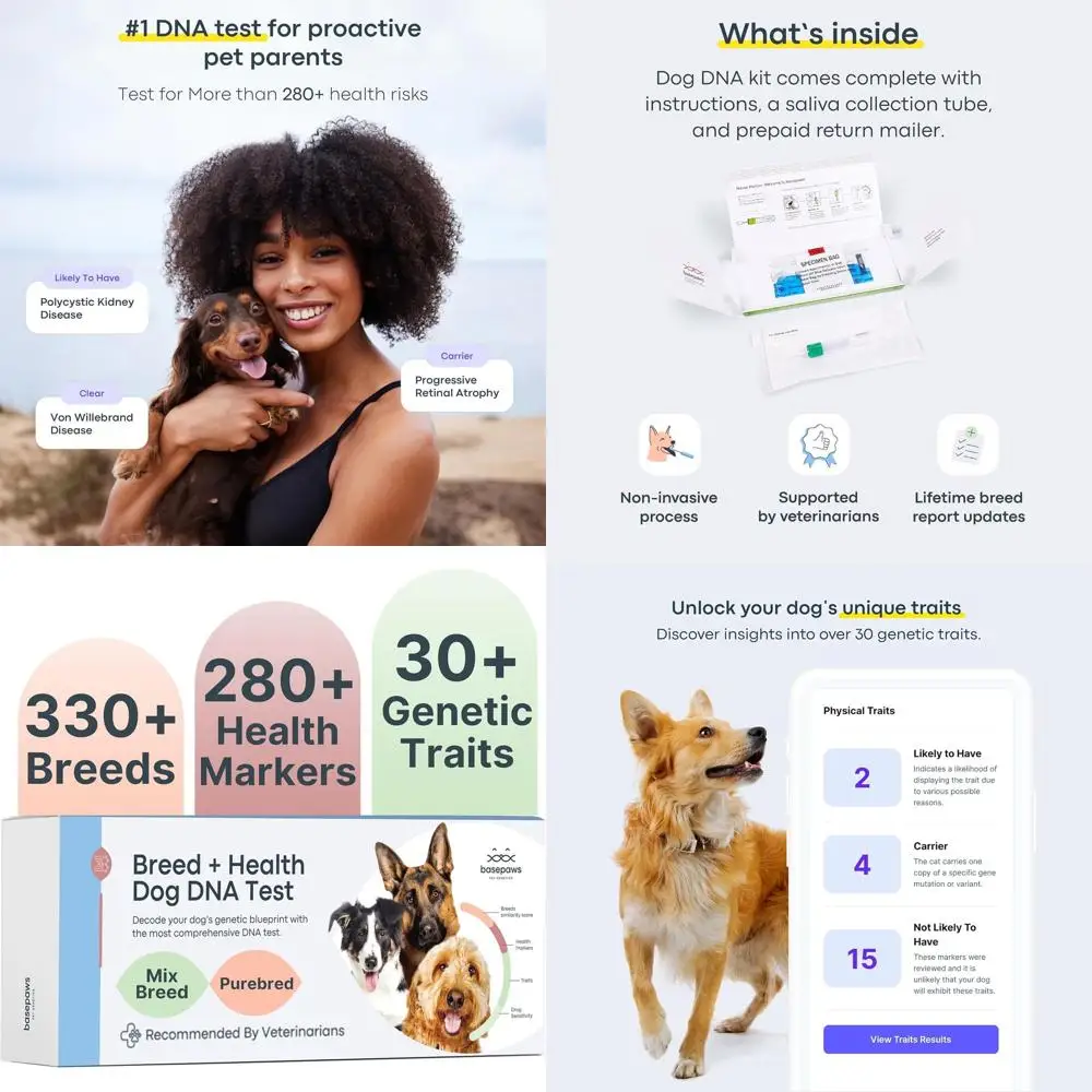 Комплект для тестирования ДНК для собак Basepaws — 330 пород, 280 медицинских раков и 30 следов — комплексная идентификация смешанных пород, домашнее животное DN
Комплект для тестирования ДНК для собак Basepaws — 330 пород, 280 медицинских раков и 30 следов — комплексная идентификация смешанных пород, домашнее животное DN