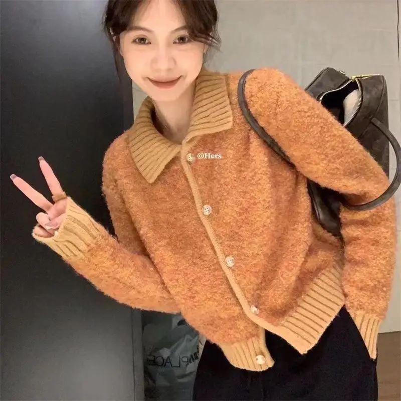 Korean Style Lazy High-End Lapel Knitted Cardigan Autumn Winter Short New Sweater Loose Western Style Jacket Top
Korean Style Lazy High-End Lapel Knitted Cardigan Autumn Winter Short New Sweater Loose Western Style Jacket Top