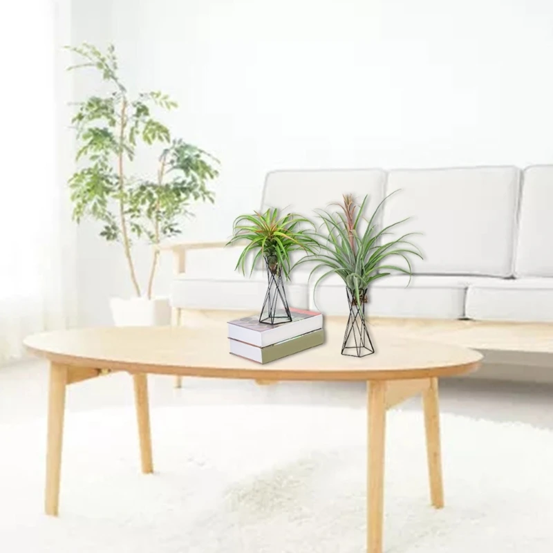Y3NA Nordic Air Plant Holder Metal Flower Pot Stand Geometric Iron Tillandsia Holder Table Home Garden Ornaments
Y3NA Nordic Air Plant Holder Metal Flower Pot Stand Geometric Iron Tillandsia Holder Table Home Garden Ornaments