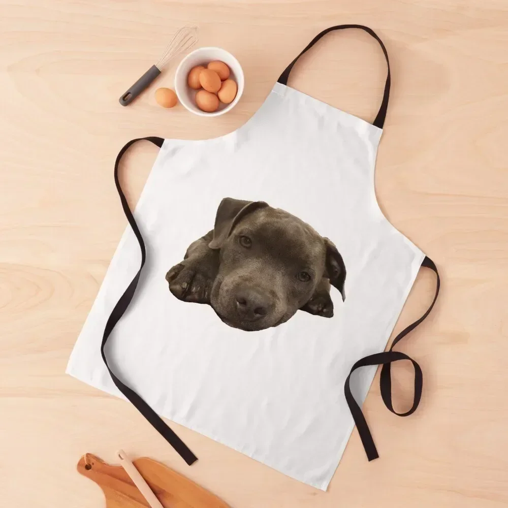 Sleepy blue staffy Apron Kitchen Novel Kitchen Accessories Things For Home And Kitchen Apron 
Sleepy blue staffy Apron Kitchen Novel Kitchen Accessories Things For Home And Kitchen Apron