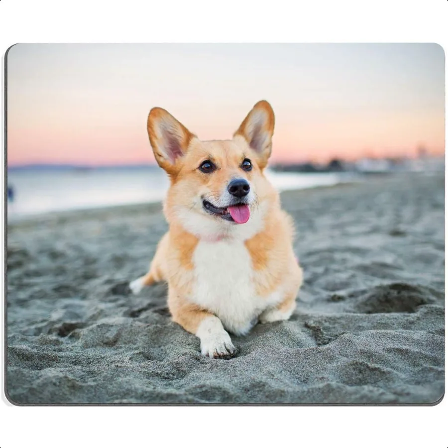 Коврик для игровой мыши Corgi on The Beach, квадратный водонепроницаемый нескользящий резиновый коврик для мыши для офиса, дома, ноутбука, путешествий, 9,5x7,9x0,12
Коврик для игровой мыши Corgi on The Beach, квадратный водонепроницаемый нескользящий резиновый коврик для мыши для офиса, дома, ноутбука, путешествий, 9,5x7,9x0,12