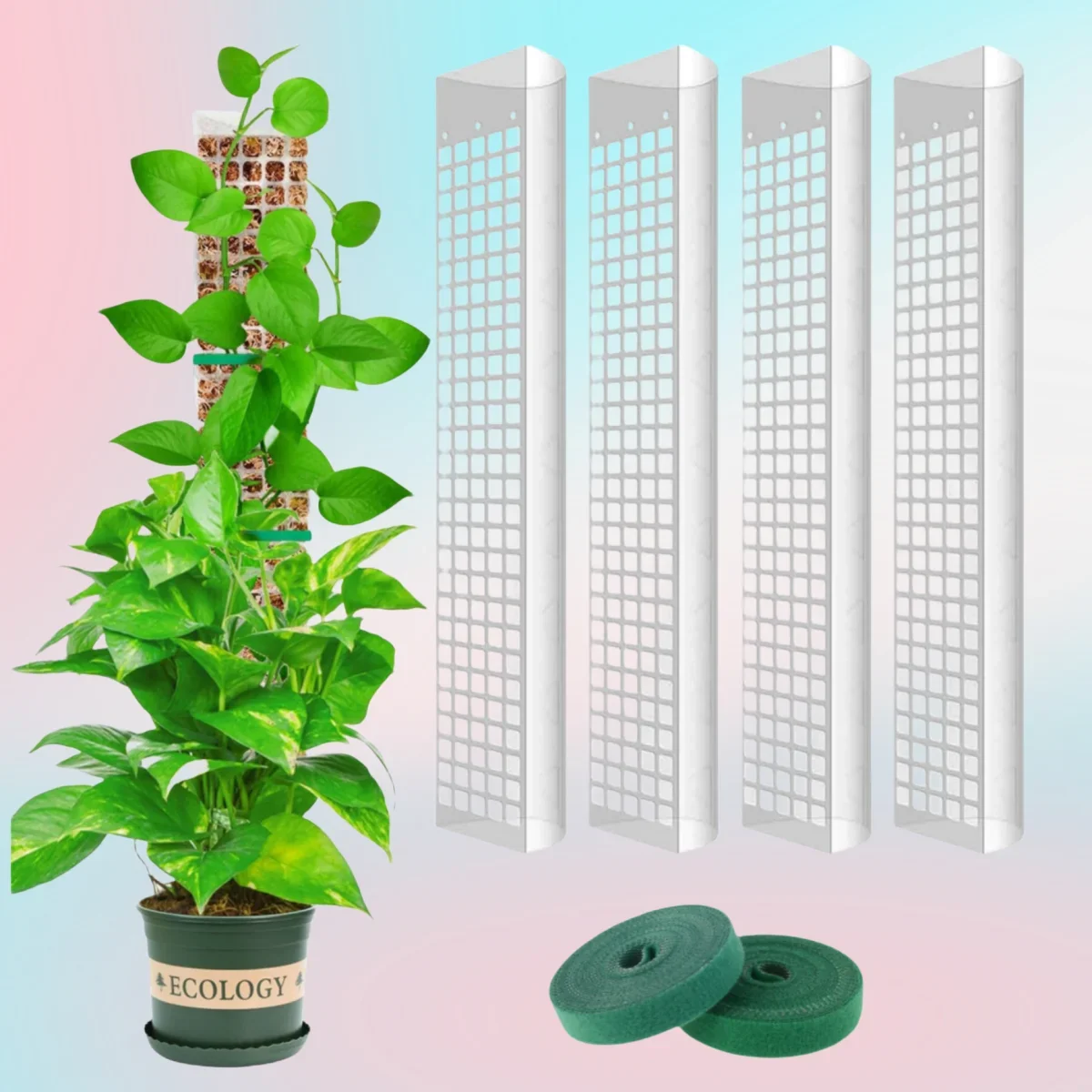 Garden Subject Plants Moss Pole Flower Plant Climbers Bonsai Accessories Pots Tutors ,for Planters Plants Growth Holder Support
Garden Subject Plants Moss Pole Flower Plant Climbers Bonsai Accessories Pots Tutors ,for Planters Plants Growth Holder Support