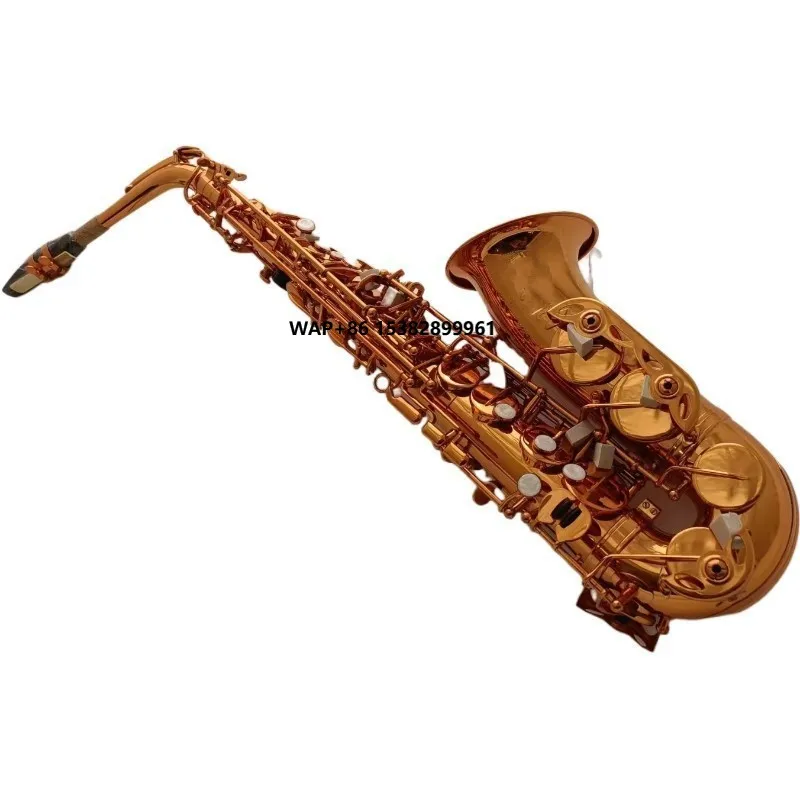 Professional Alto Saxophone in Coffee Gold E-flat Key Beginner to Band Performance Brass Head and Lacquer
Professional Alto Saxophone in Coffee Gold E-flat Key Beginner to Band Performance Brass Head and Lacquer