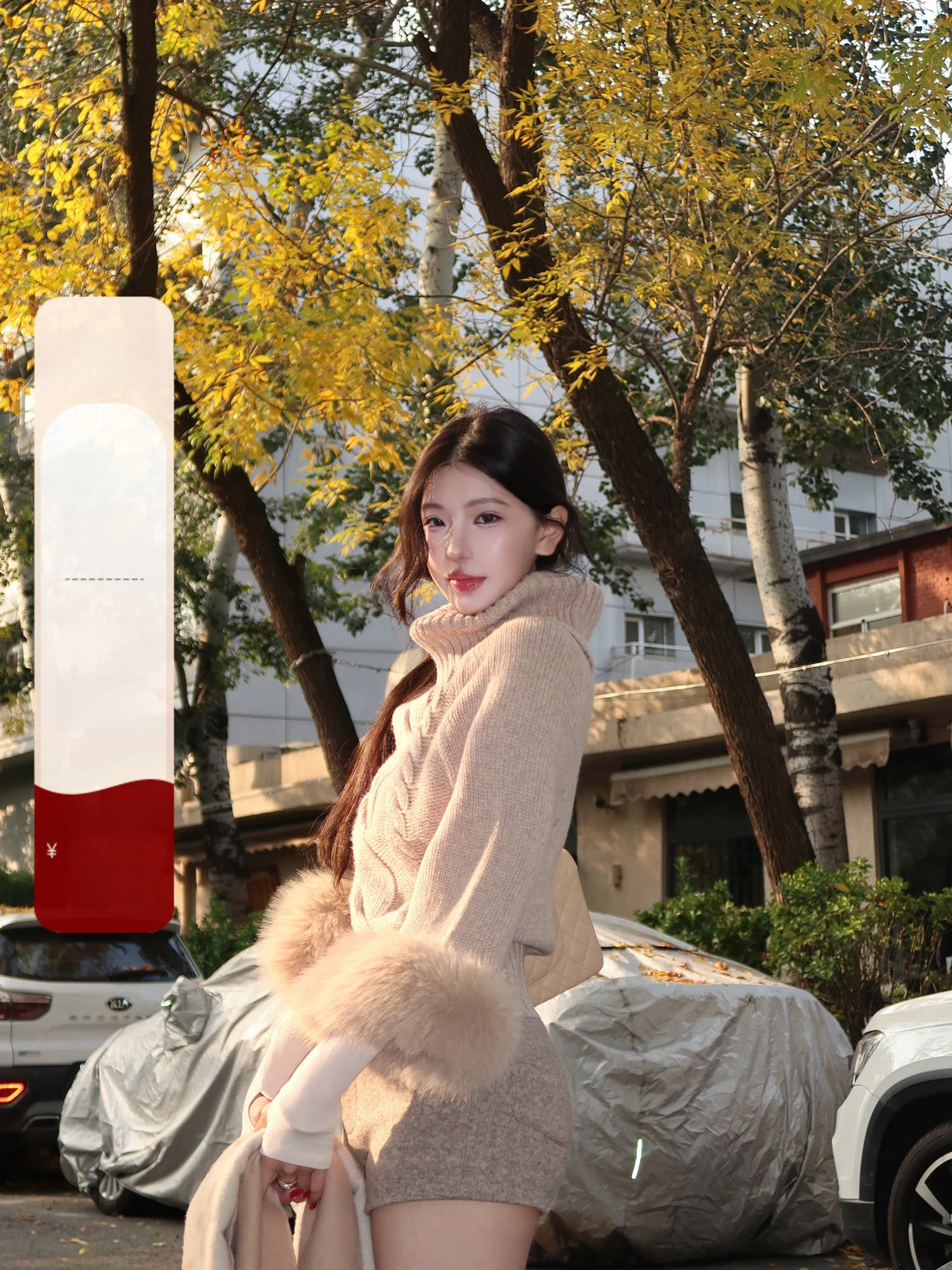 Detachable High Collar Woolen Cable Knit Sve Women's Coat Warmth Autumn Winter Faion Commute Sle Loose Fit Single Piece
Detachable High Collar Woolen Cable Knit Sve Women's Coat Warmth Autumn Winter Faion Commute Sle Loose Fit Single Piece