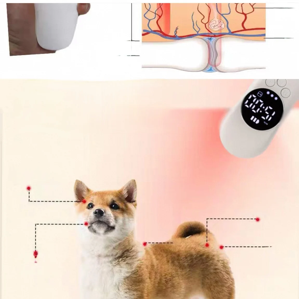 Cold Laser, 3x808nm+ 14x650nm, LLLT Therapy Device for Shoulder, Joint, Muscle Pain Reliever, Safe for Pet Dog, 4 Power/4 Timer
Cold Laser, 3x808nm+ 14x650nm, LLLT Therapy Device for Shoulder, Joint, Muscle Pain Reliever, Safe for Pet Dog, 4 Power/4 Timer