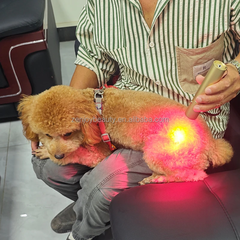 Customized OEM 5 Wavelength Red Light Torch Pain Relief Infrared Light Therapy Pen Infrared Red Light Therapy for Dog Pet Horse
Customized OEM 5 Wavelength Red Light Torch Pain Relief Infrared Light Therapy Pen Infrared Red Light Therapy for Dog Pet Horse