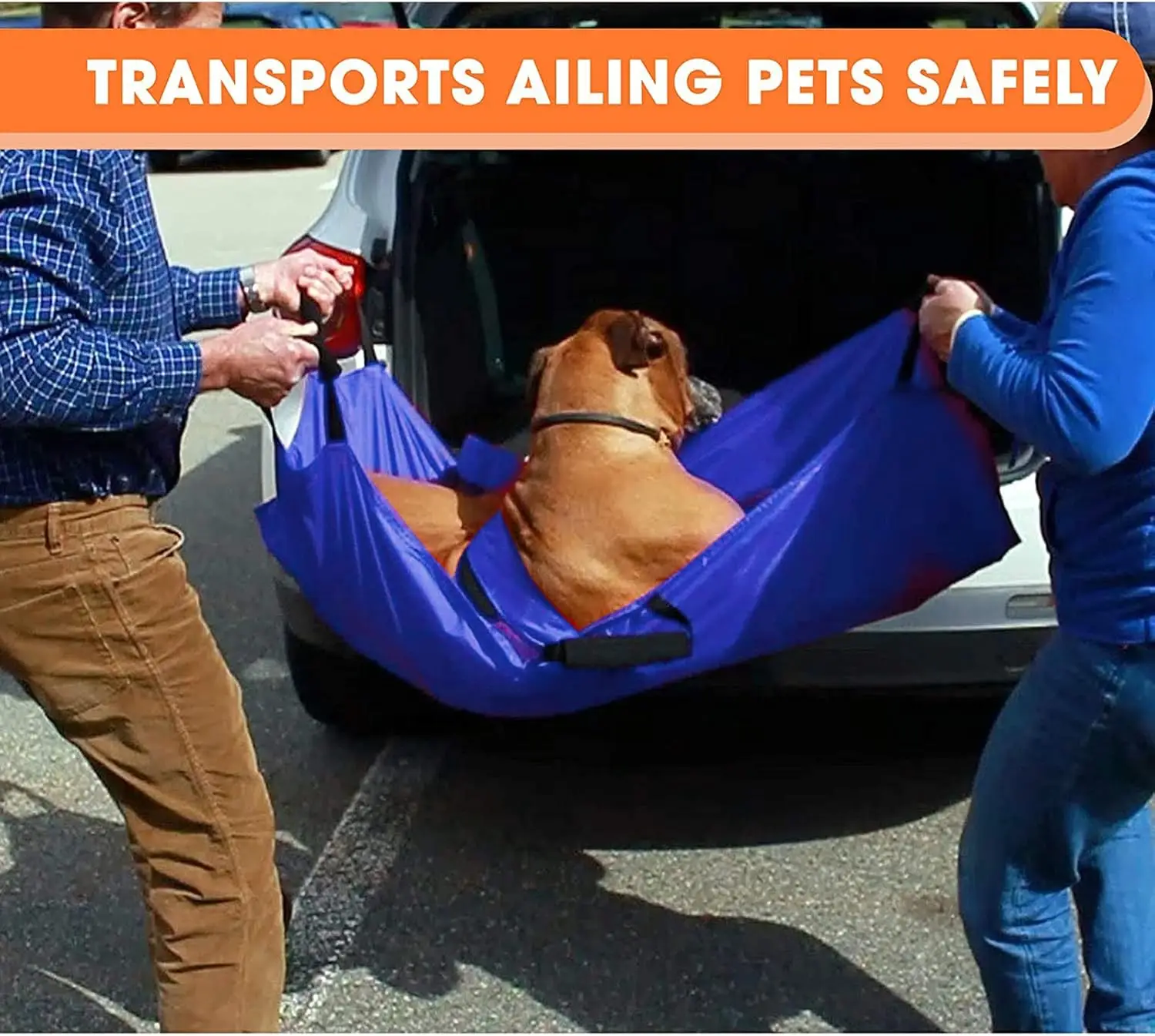 НОВЫЙ Носилки для животных синие, 47 * 29 дюймов, максимальная нагрузка 132,27 фунтов, идеально подходят для крупных пород собак, для ветеринарной транспортировки
НОВЫЙ Носилки для животных синие, 47 * 29 дюймов, максимальная нагрузка 132,27 фунтов, идеально подходят для крупных пород собак, для ветеринарной транспортировки