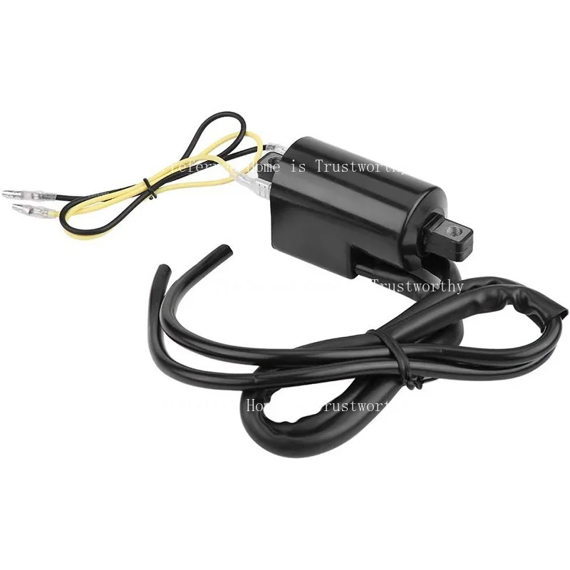 Suitable for Ignition Coil High Voltage Pack GSF400 GSF600 GSF1200
Suitable for Ignition Coil High Voltage Pack GSF400 GSF600 GSF1200