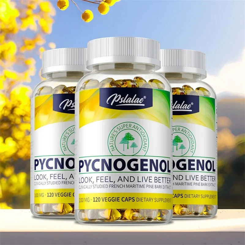 Pycnogenol Supplement - Improves Blood Circulation and Supports A Healthy and Balanced Immune System
Pycnogenol Supplement - Improves Blood Circulation and Supports A Healthy and Balanced Immune System