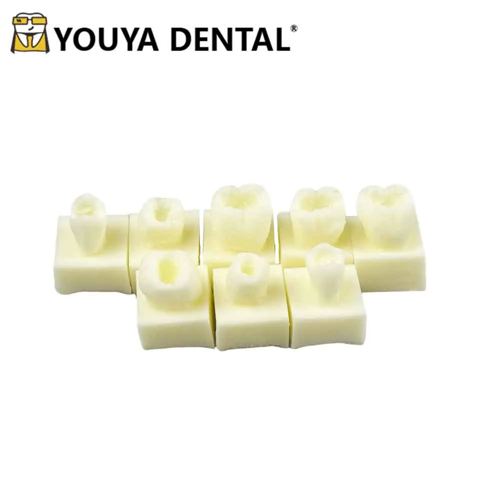 8 шт. комплект, стоматологическая задняя студенческая тренировочная тестовая модель, тренировочная композитная смола, заполнение зубов, челюсть, стоматологический инструмент для практики наполнения
8 шт. комплект, стоматологическая задняя студенческая тренировочная тестовая модель, тренировочная композитная смола, заполнение зубов, челюсть, стоматологический инструмент для практики наполнения