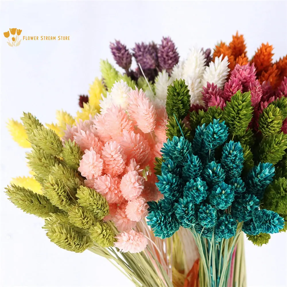 40Pcs Natural Dried Gem Grass for Home Decoration Accessories Preserved Flower Jewelry Grass Bohemian Decor Photography Props
40Pcs Natural Dried Gem Grass for Home Decoration Accessories Preserved Flower Jewelry Grass Bohemian Decor Photography Props