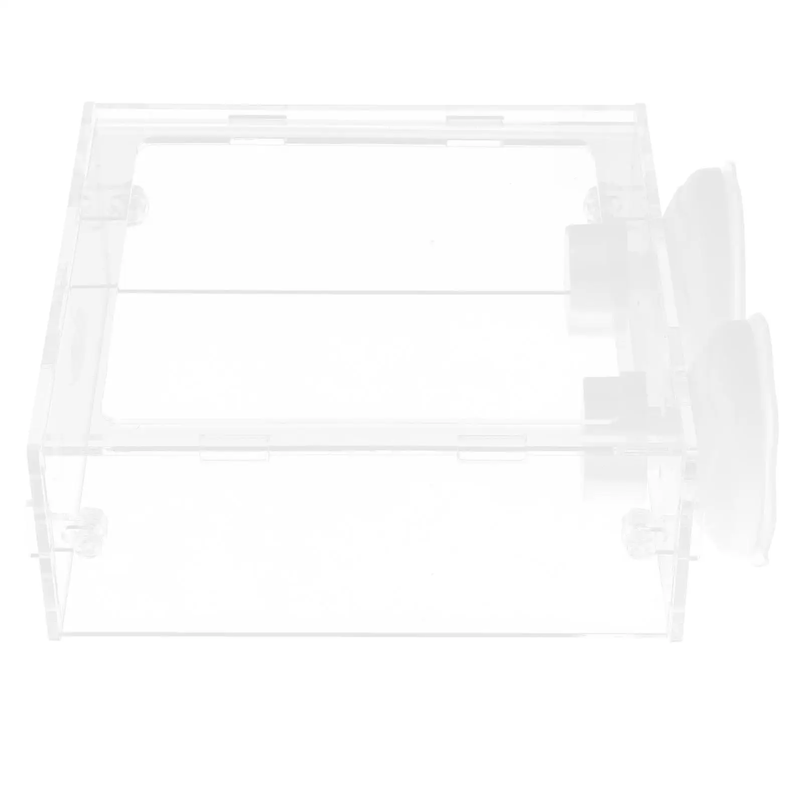 Acrylic Fish Feeding Ring Flake Food Container Suction Cup Aquarium Feeder Shrimp Tropical Long Use Durable Anti Scatter
Acrylic Fish Feeding Ring Flake Food Container Suction Cup Aquarium Feeder Shrimp Tropical Long Use Durable Anti Scatter