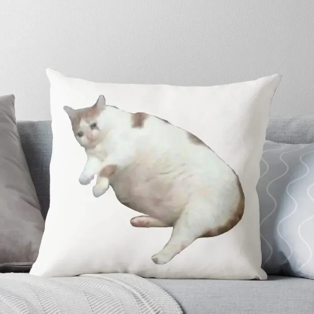 Cat Throw Pillow Christmas Covers For Cushions pillowcases for sofa cushions Decorative Cushions pillow
Cat Throw Pillow Christmas Covers For Cushions pillowcases for sofa cushions Decorative Cushions pillow