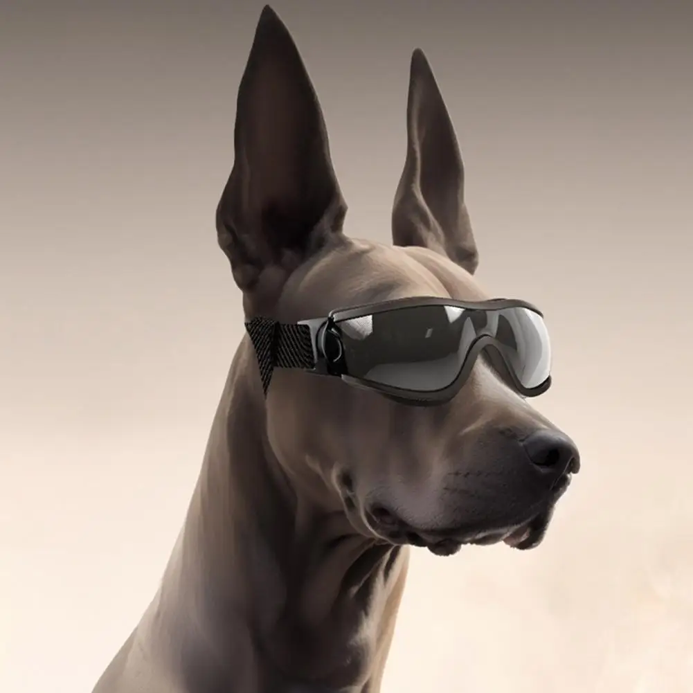 Cool Dog Sunglasses,Anti-UV Eyewear,Windproof Dog Goggles,Puppy Glasses For Small Medium Breed Outdoor Riding Driving
Cool Dog Sunglasses,Anti-UV Eyewear,Windproof Dog Goggles,Puppy Glasses For Small Medium Breed Outdoor Riding Driving