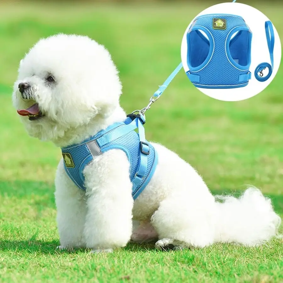 1 Set Pet Chest Back Traction Rope For Four Seasons Suitable For Medium And Small Dogs Vest Style Non-choking Dog Leash For Outdoor Walking Comfortable Mesh Breathable Adjustable Reflective Dog Vest Chest Back Strap
1 Set Pet Chest Back Traction Rope For Four Seasons Suitable For Medium And Small Dogs Vest Style Non-choking Dog Leash For Outdoor Walking Comfortable Mesh Breathable Adjustable Reflective Dog Vest Chest Back Strap