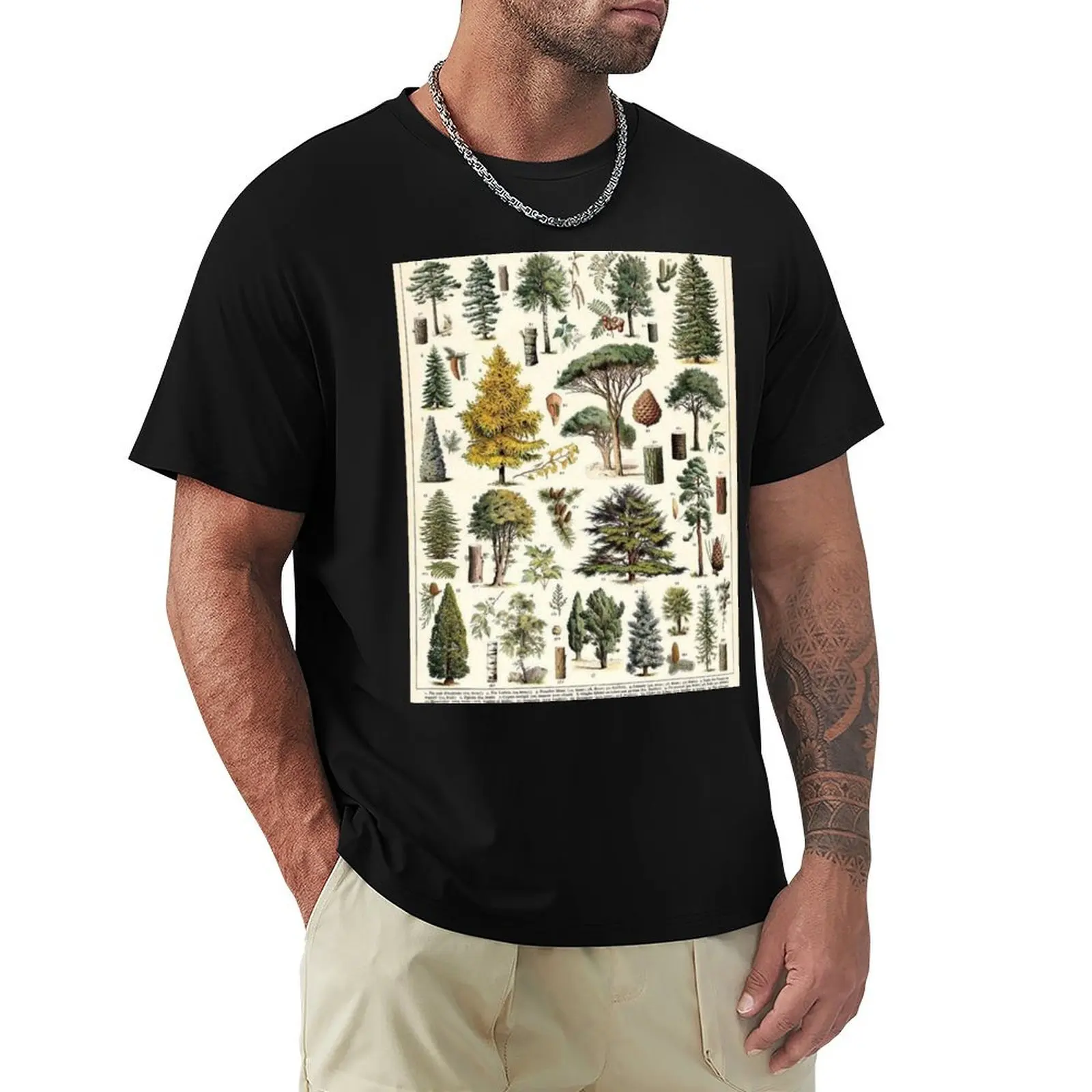 Tree Species T-Shirt Luxury man luxury clothing labubu man t shirt plus size clothes Short sleeve tee men
Tree Species T-Shirt Luxury man luxury clothing labubu man t shirt plus size clothes Short sleeve tee men