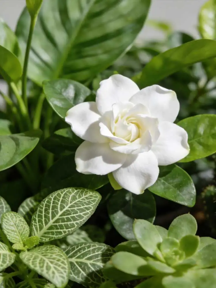 Your problem is solved! Free home delivery.
Your problem is solved! Free home delivery.