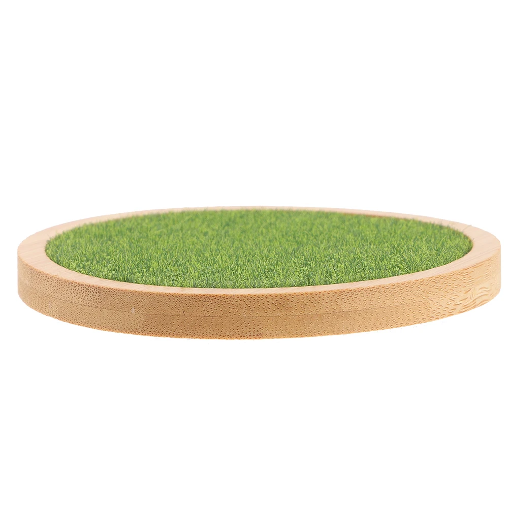 Decorative Pedestal Grass Base for Figures Durable Reusable Style Action Holder Plant Table Riser Display
Decorative Pedestal Grass Base for Figures Durable Reusable Style Action Holder Plant Table Riser Display