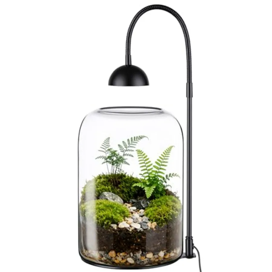 Glass Plant Terrarium with LED Grow Light and Adjustable Ventilation, 8.2" Desktop Terrarium for Venus Fly Trap, Moss and Succu
Glass Plant Terrarium with LED Grow Light and Adjustable Ventilation, 8.2" Desktop Terrarium for Venus Fly Trap, Moss and Succu