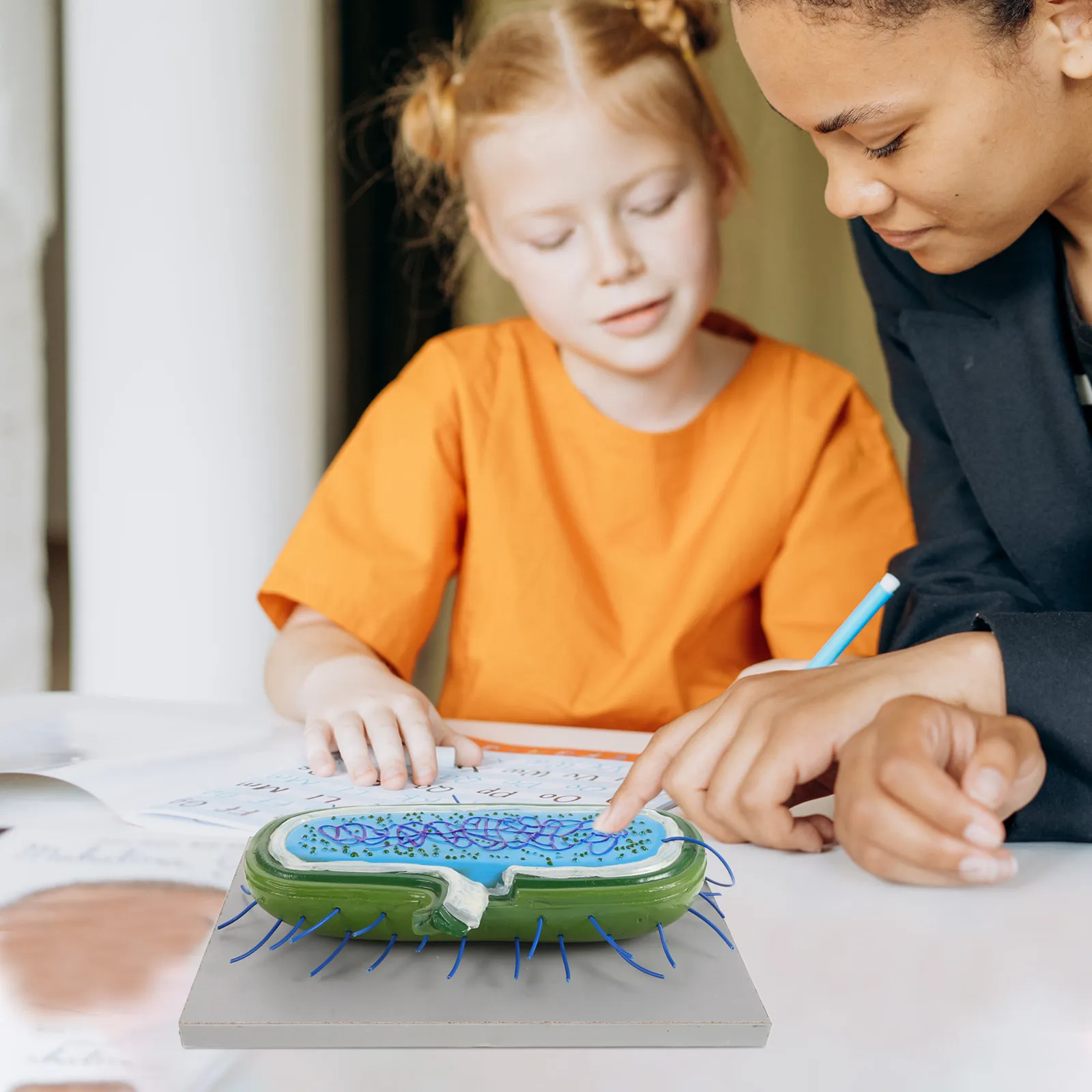 Detailed 3D Bacteria Cell Teaching Aid for Classroom Biology Study Microbial Structure Anatomy Science Educational Props
Detailed 3D Bacteria Cell Teaching Aid for Classroom Biology Study Microbial Structure Anatomy Science Educational Props