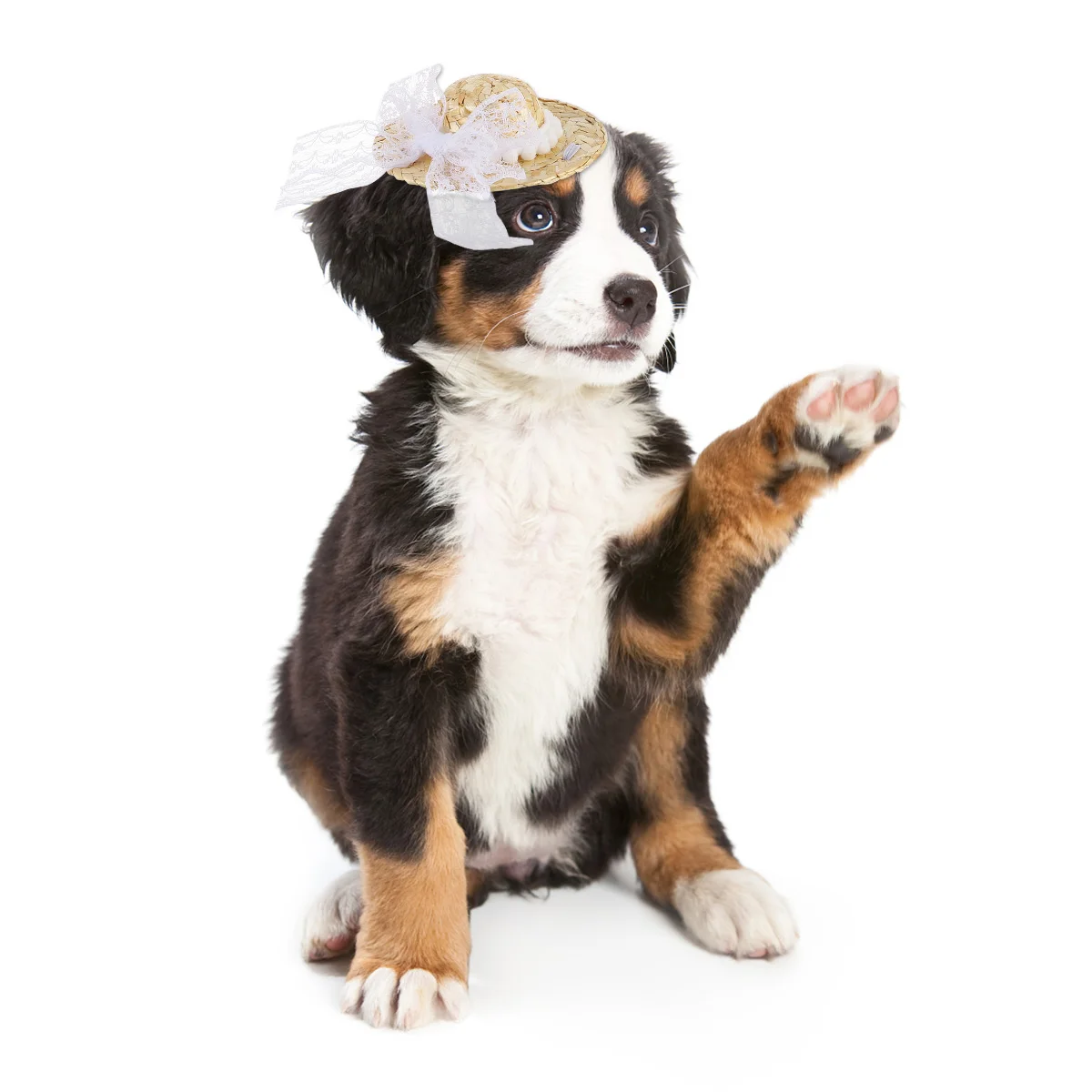 Pet Straw Woven Cat Dog Bowknot Decorative Photo Props Soft Comfortable Daily Wear Straw Woven Hat Parties Pet Hat
Pet Straw Woven Cat Dog Bowknot Decorative Photo Props Soft Comfortable Daily Wear Straw Woven Hat Parties Pet Hat