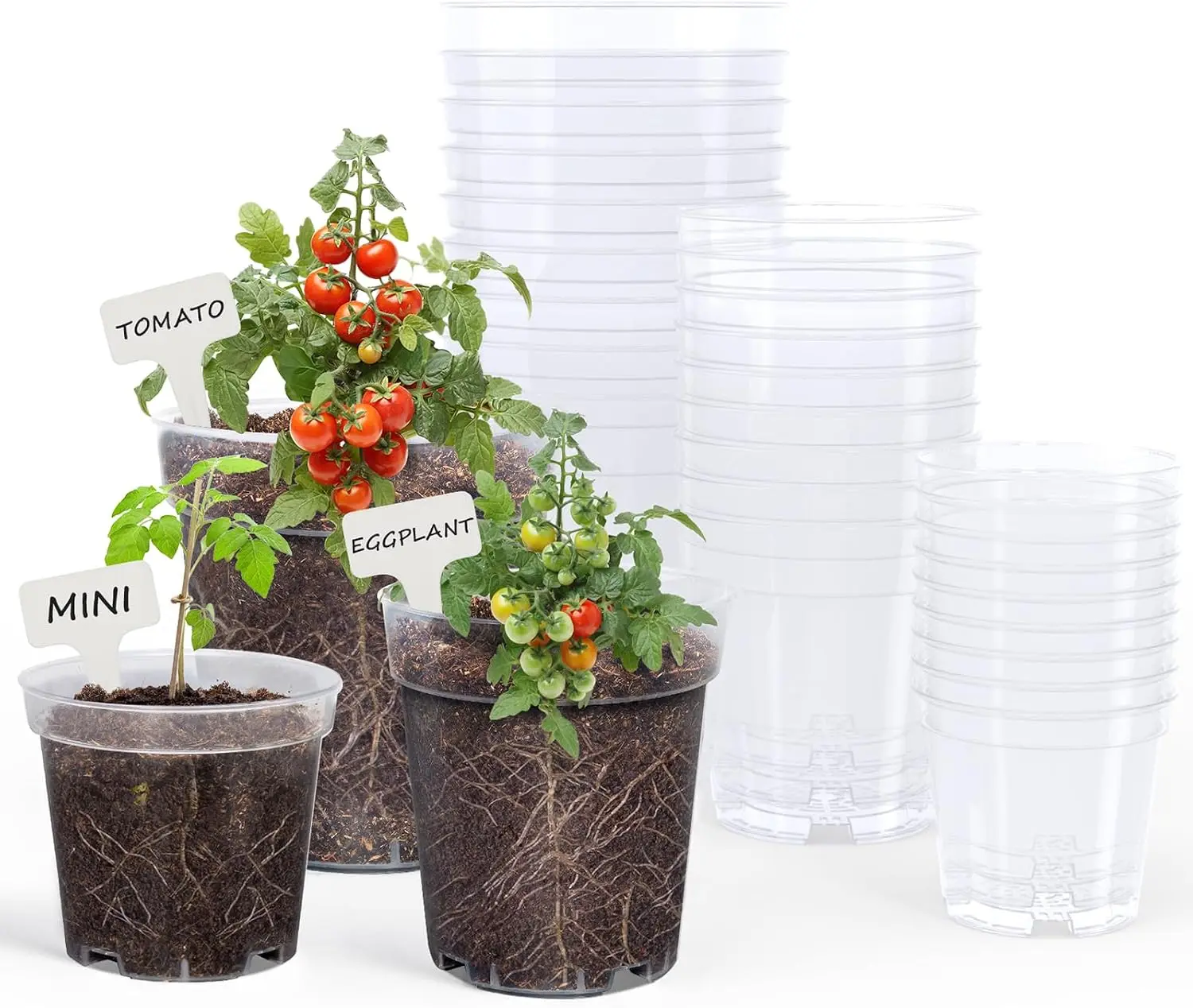 Clear Nursery Pots for Plants, 4/5/6.7 Inch Plastic Seedling Pots with Drainage Holes, High Transparency, 30 Pack with 20 Plant Labels
Clear Nursery Pots for Plants, 4/5/6.7 Inch Plastic Seedling Pots with Drainage Holes, High Transparency, 30 Pack with 20 Plant Labels