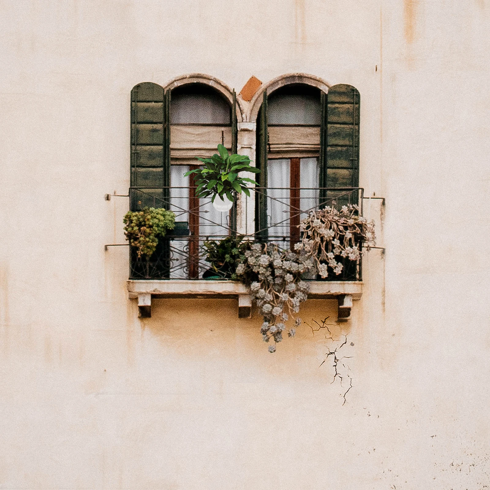 Resin Flower Self Watering Hanging Planter Decorative Balcony Garden Yard Plants Hanging Flower Pots Vase
Resin Flower Self Watering Hanging Planter Decorative Balcony Garden Yard Plants Hanging Flower Pots Vase