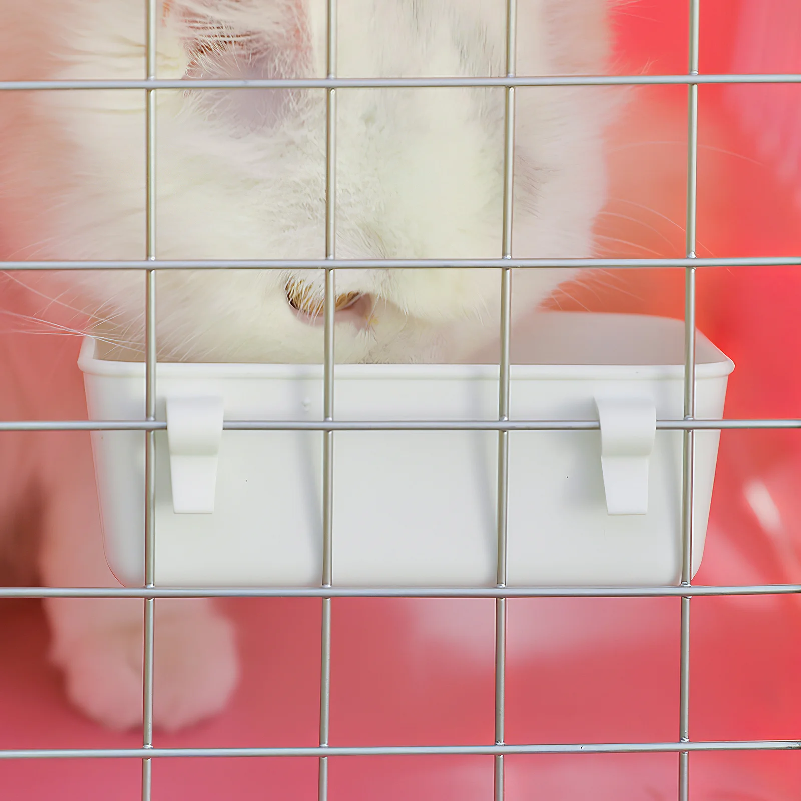 3Pcs Bird Feeder Bowl Sturdy Plastic Bird Cage Food Holder Multi-Purpose Pet Feeding Cup for Small Animals Accessories
3Pcs Bird Feeder Bowl Sturdy Plastic Bird Cage Food Holder Multi-Purpose Pet Feeding Cup for Small Animals Accessories