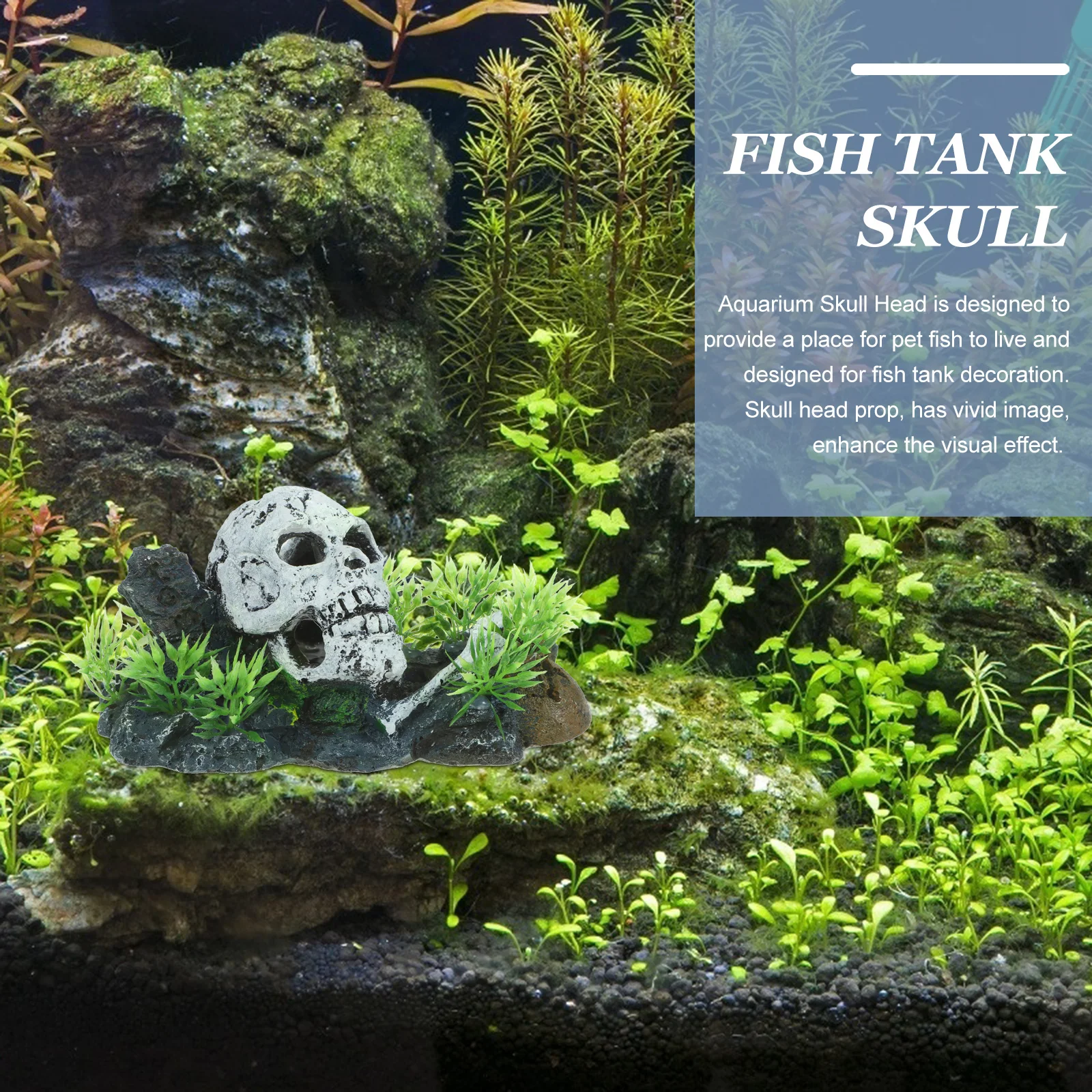 Aquarium Skull Head Tank Decoration Halloween Resin Ornament Fish Hideout Wear-Resistant Landscape Skull For Fish Tank Aquarium
Aquarium Skull Head Tank Decoration Halloween Resin Ornament Fish Hideout Wear-Resistant Landscape Skull For Fish Tank Aquarium