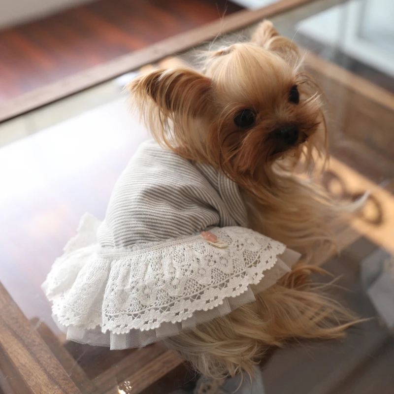 2026 New Dog Dress Cat Puppy Apparel Chihuahua Yorkies Maltese Clothes Pomeranian Shih Tzu Bichon Poodle Schnauzer Pet Clothing
2026 New Dog Dress Cat Puppy Apparel Chihuahua Yorkies Maltese Clothes Pomeranian Shih Tzu Bichon Poodle Schnauzer Pet Clothing