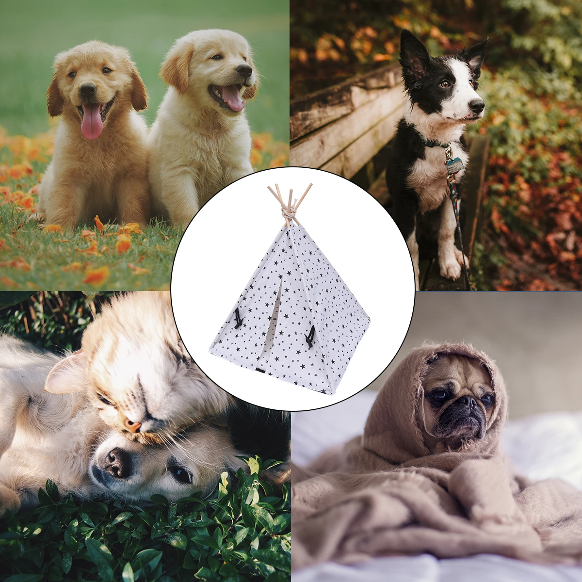 Portable Pet House for Dogs Cats Small Breathable Pet Bed White Breathable Washable Cage Kennel Toy
Portable Pet House for Dogs Cats Small Breathable Pet Bed White Breathable Washable Cage Kennel Toy