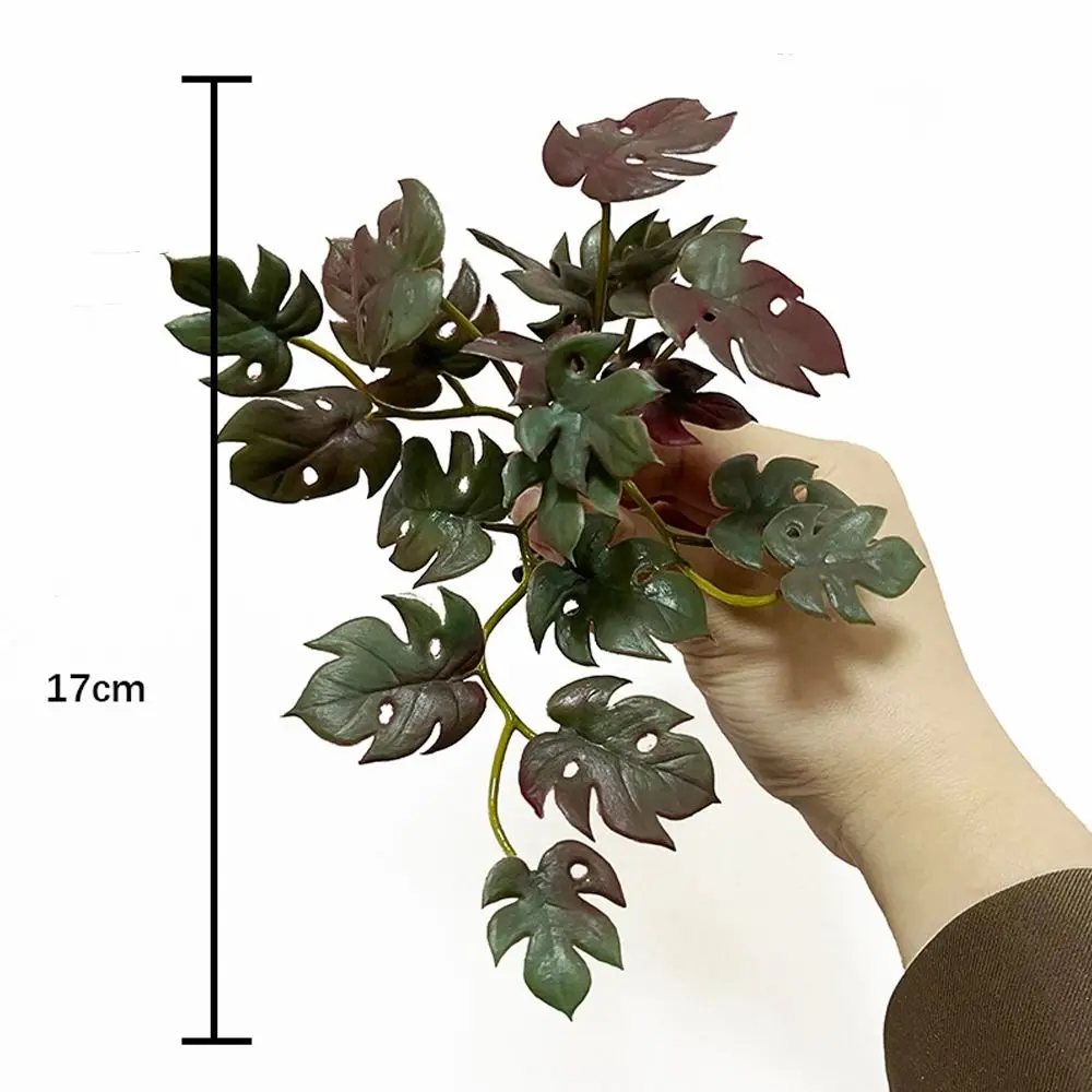 Bonsai Plants Soft Artificial Copper Coin Grass Plants Handmade Wall Hanging Fake Ivy Leaf Leaves Realistic Mini Bouquet Office
Bonsai Plants Soft Artificial Copper Coin Grass Plants Handmade Wall Hanging Fake Ivy Leaf Leaves Realistic Mini Bouquet Office