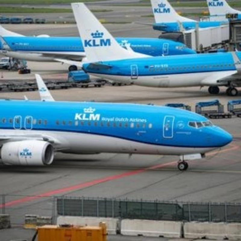 2026 14.4V NI-MH 6800mAh-12800mAh Replacement Battery for Makita Battery 14.4V PA14 1420 1422 1433 1434 1435 1435F 192699-A
2026 14.4V NI-MH 6800mAh-12800mAh Replacement Battery for Makita Battery 14.4V PA14 1420 1422 1433 1434 1435 1435F 192699-A